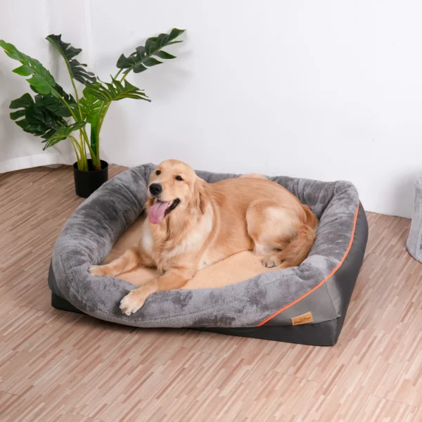 Accessories for dogs and cats