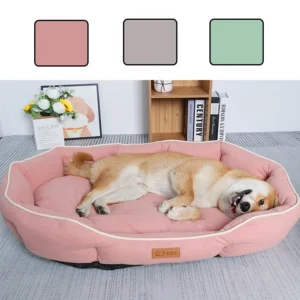 buy pets accessories
