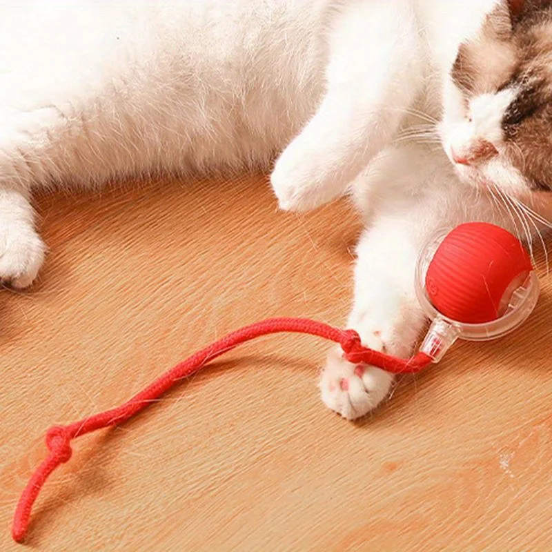 Automatic Interactive Cat Ball Toy Rechargeable Smart Electric Rolling Ball with Faux Tail Mouse Imitation for Dog Cat Training - Image 2