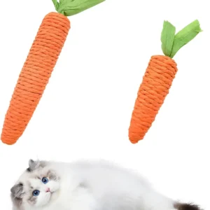 Cat toys self-entertainment