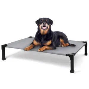 buy Elevated Dog Bed