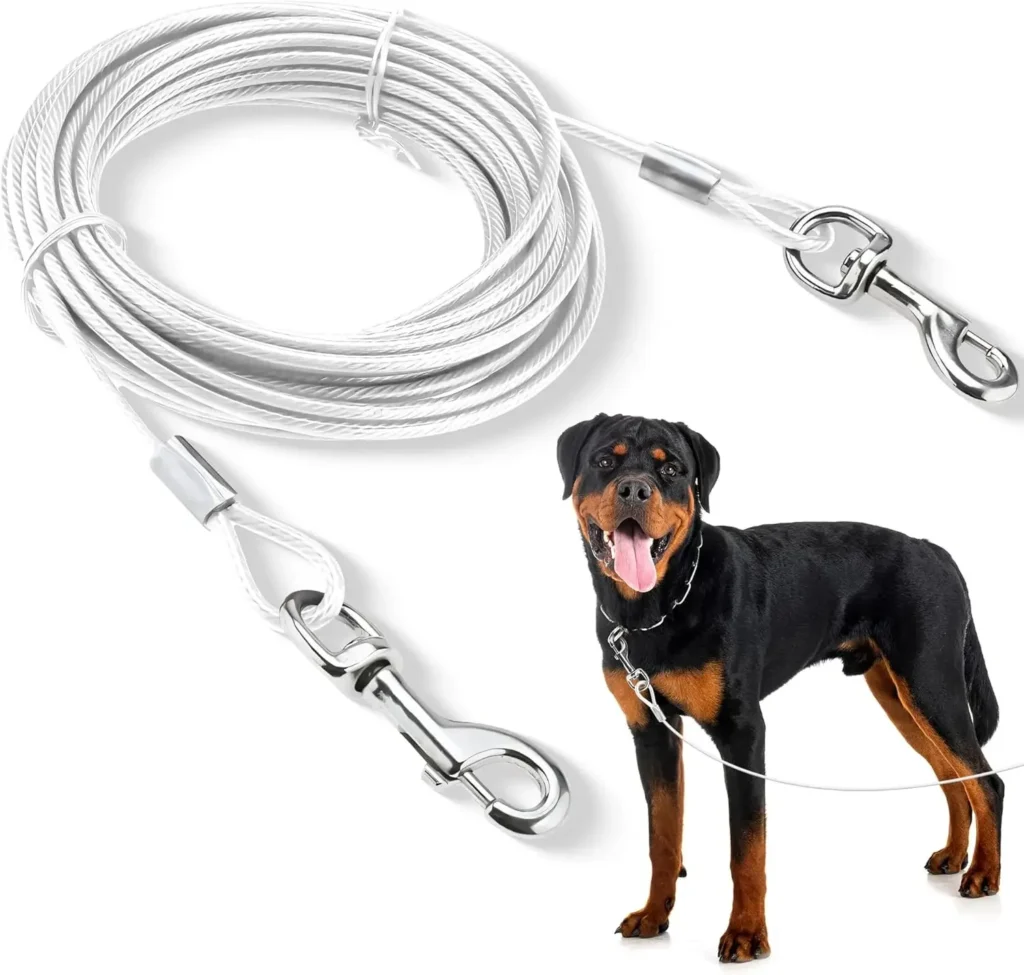 Double dog tie-out cable leash with metal clips
