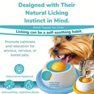 Anti Knock Food Plate