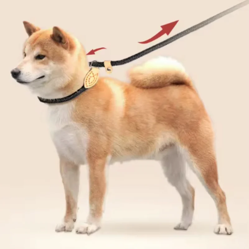 Adjustable Collar Harness Dog Leash Nylon Pet Lead Leash Dog Harness Durable Rope Belt Lightweight Dog Accessories Cat Collar - Image 2