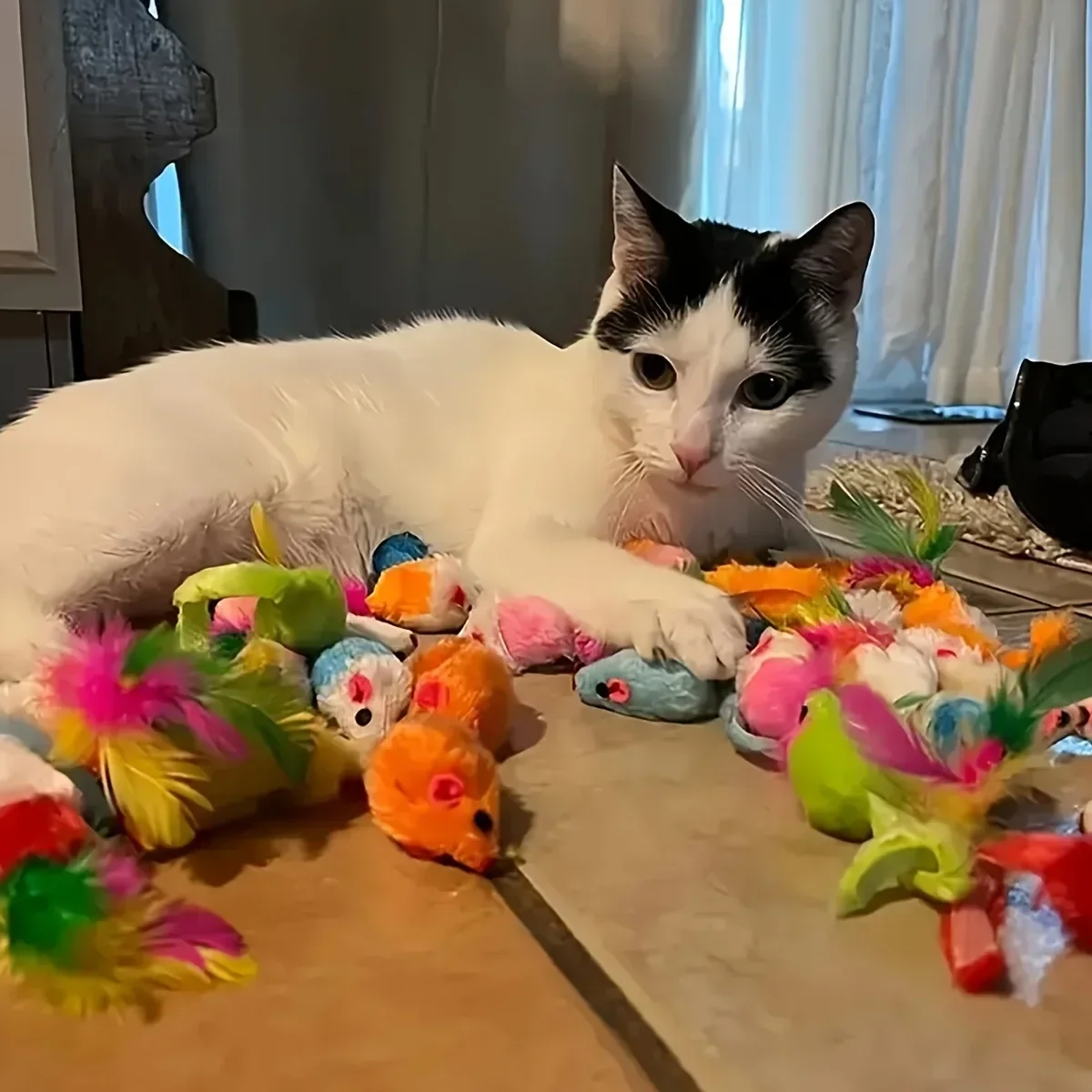 Cat Toys Mixed Pack. A Combination of Various Plastic Toys and Plush Toys Suitable for Multiple Cats To Play 56pcs/28pcs/14pcs - Image 3