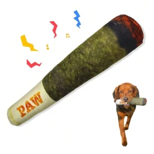 buy pet accessories