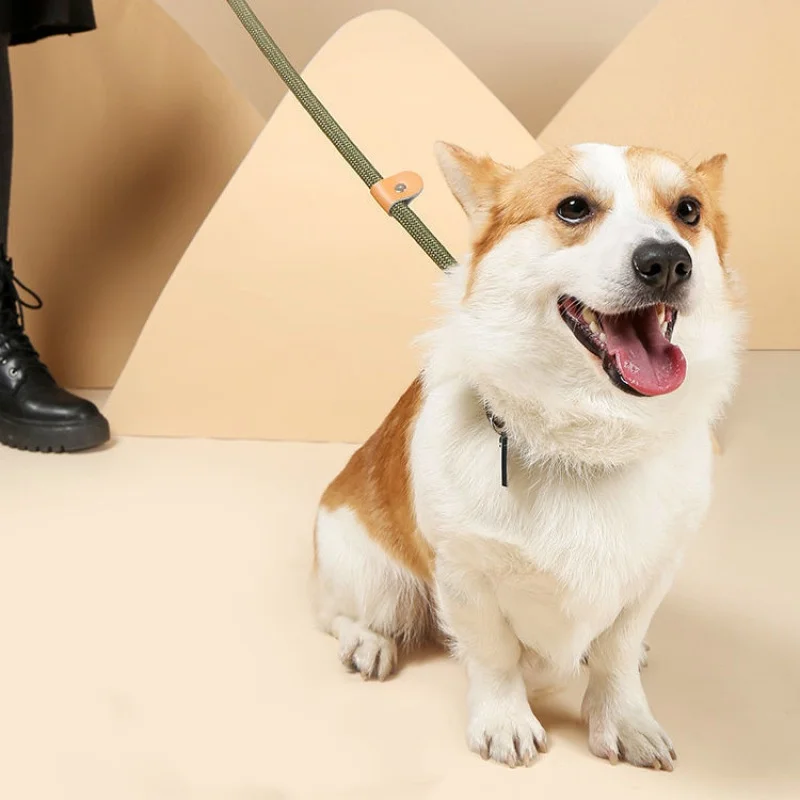 Adjustable Collar Harness Dog Leash Nylon Pet Lead Leash Dog Harness Durable Rope Belt Lightweight Dog Accessories Cat Collar - Image 3