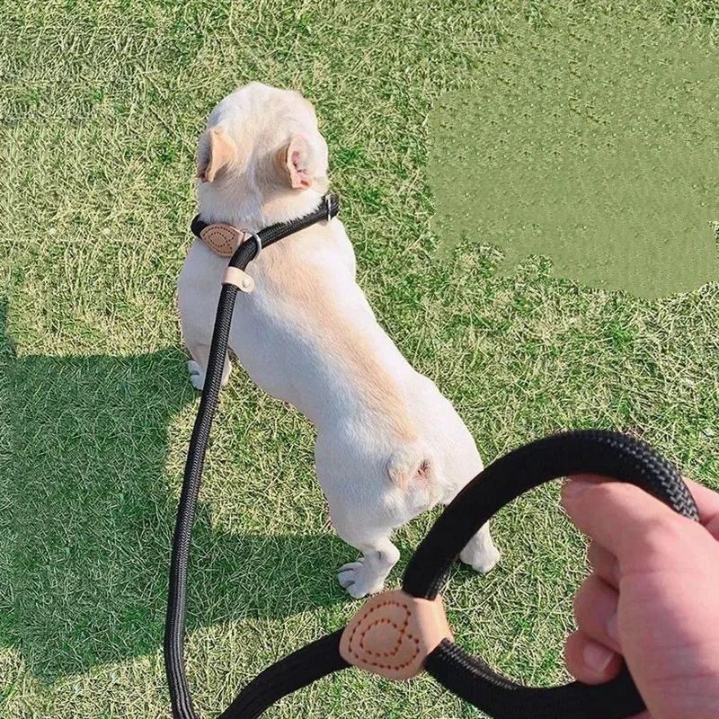 Adjustable Collar Harness Dog Leash Nylon Pet Lead Leash Dog Harness Durable Rope Belt Lightweight Dog Accessories Cat Collar - Image 4