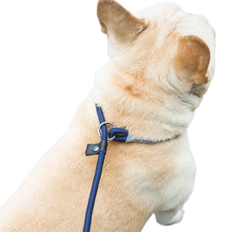 Adjustable Collar Harness Dog Leash Nylon Pet Lead Leash Dog Harness Durable Rope Belt Lightweight Dog Accessories Cat Collar - Image 6
