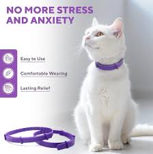 pets anxiety products