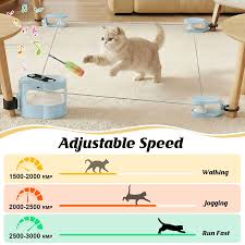 Cat Toys Interactive Ball