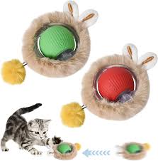 Buy pets accessories New york