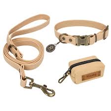dog leashes and collars