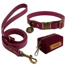 dog leashes and collars