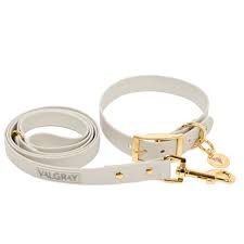 dog leashes and collars