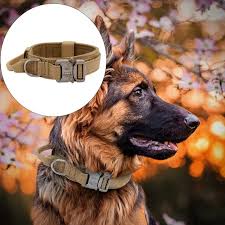 Buy Pet Leashes
