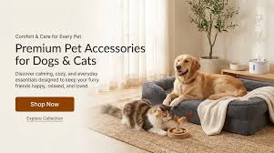 where to buy dog leash