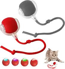 Automatic Cat Ball