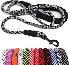 Dog leash prices and buying guide