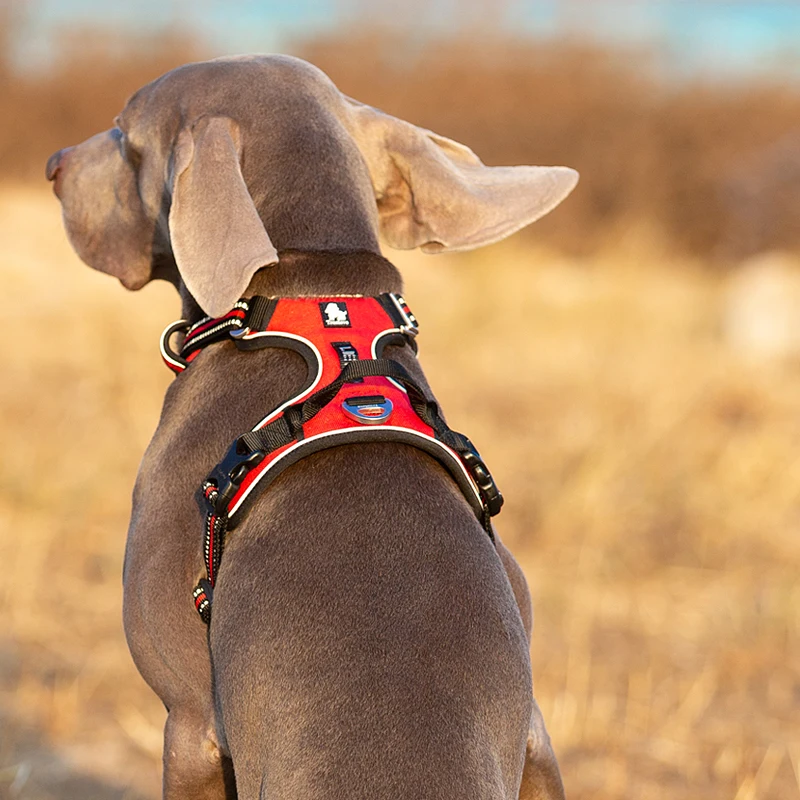Reflective No Pull Dog Harness - Image 4