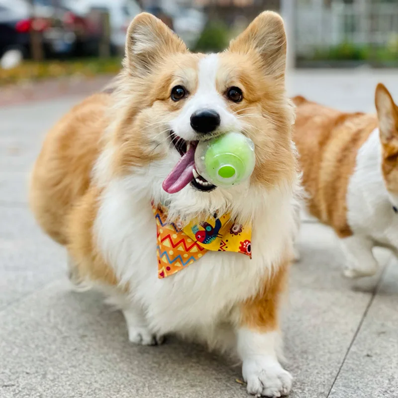 Squeaker Ball Dog Toy - Image 2