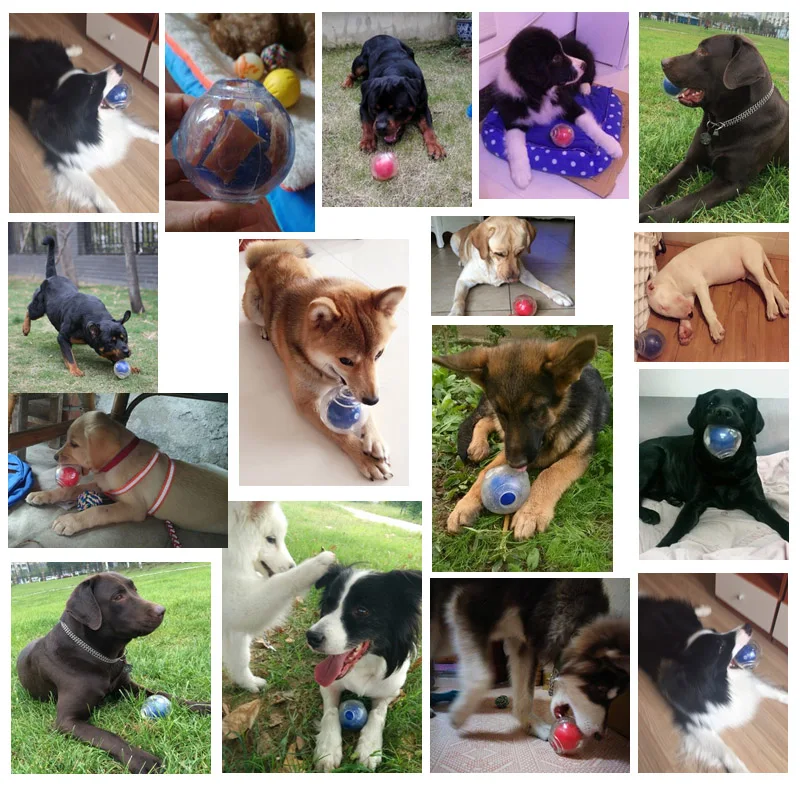 Squeaker Ball Dog Toy - Image 6