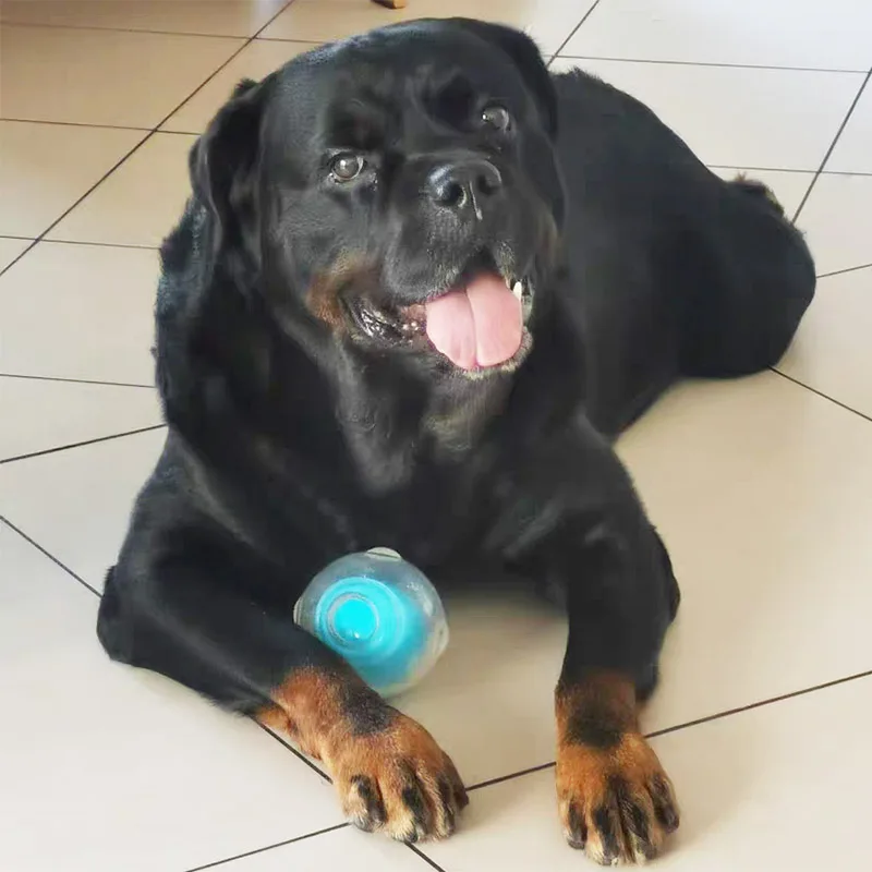 Squeaker Ball Dog Toy - Image 3