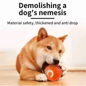 Automatic Moving Pet Toy Ball