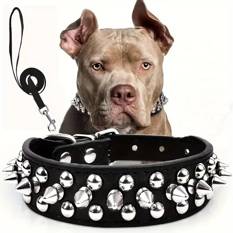 Spiked Dog Collar Leash Set
