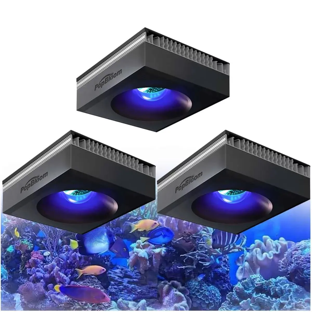 Reef Aquarium LED Light - Image 7
