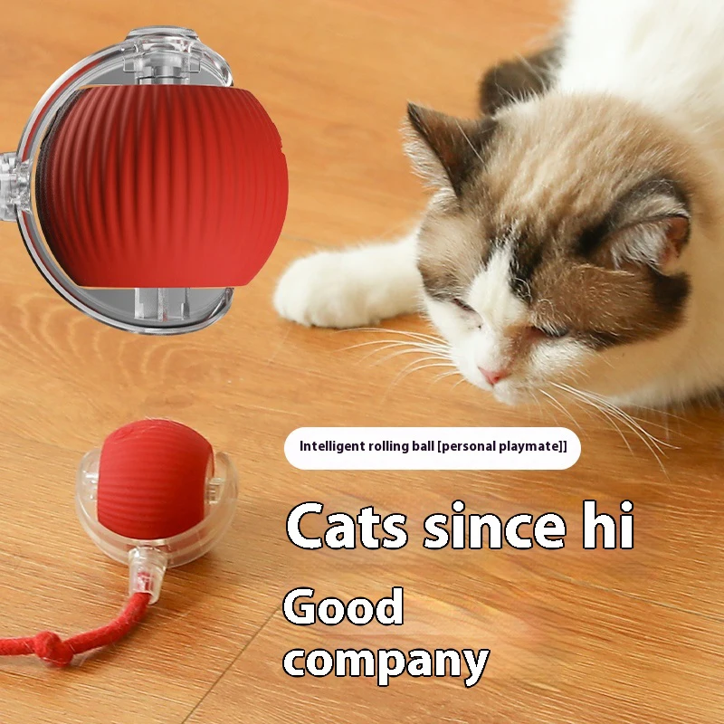 Automatic Rolling Cat Ball - Image 5