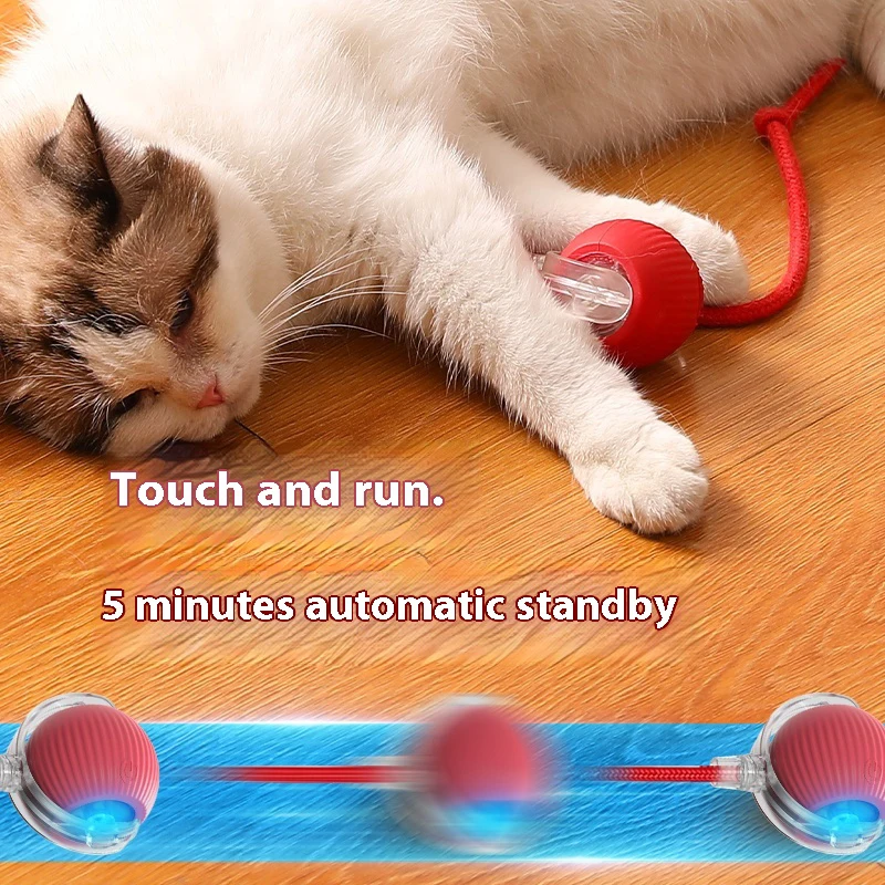 Automatic Rolling Cat Ball - Image 4