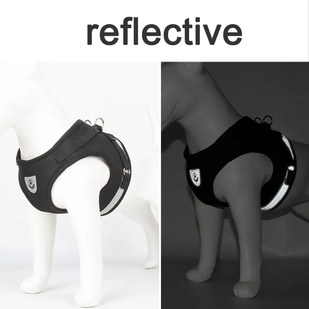 Reflective Cat Harness Leash Set - Image 5