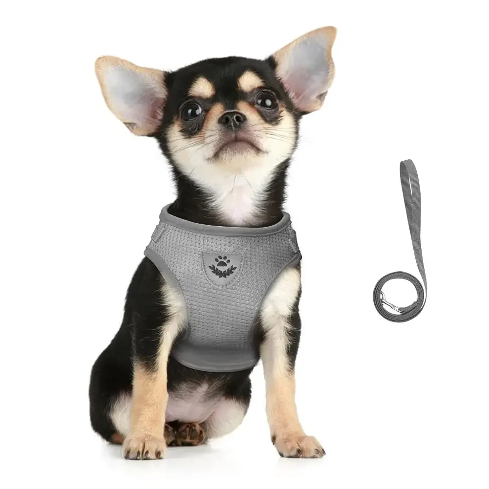 Reflective Cat Harness Leash Set - Image 4