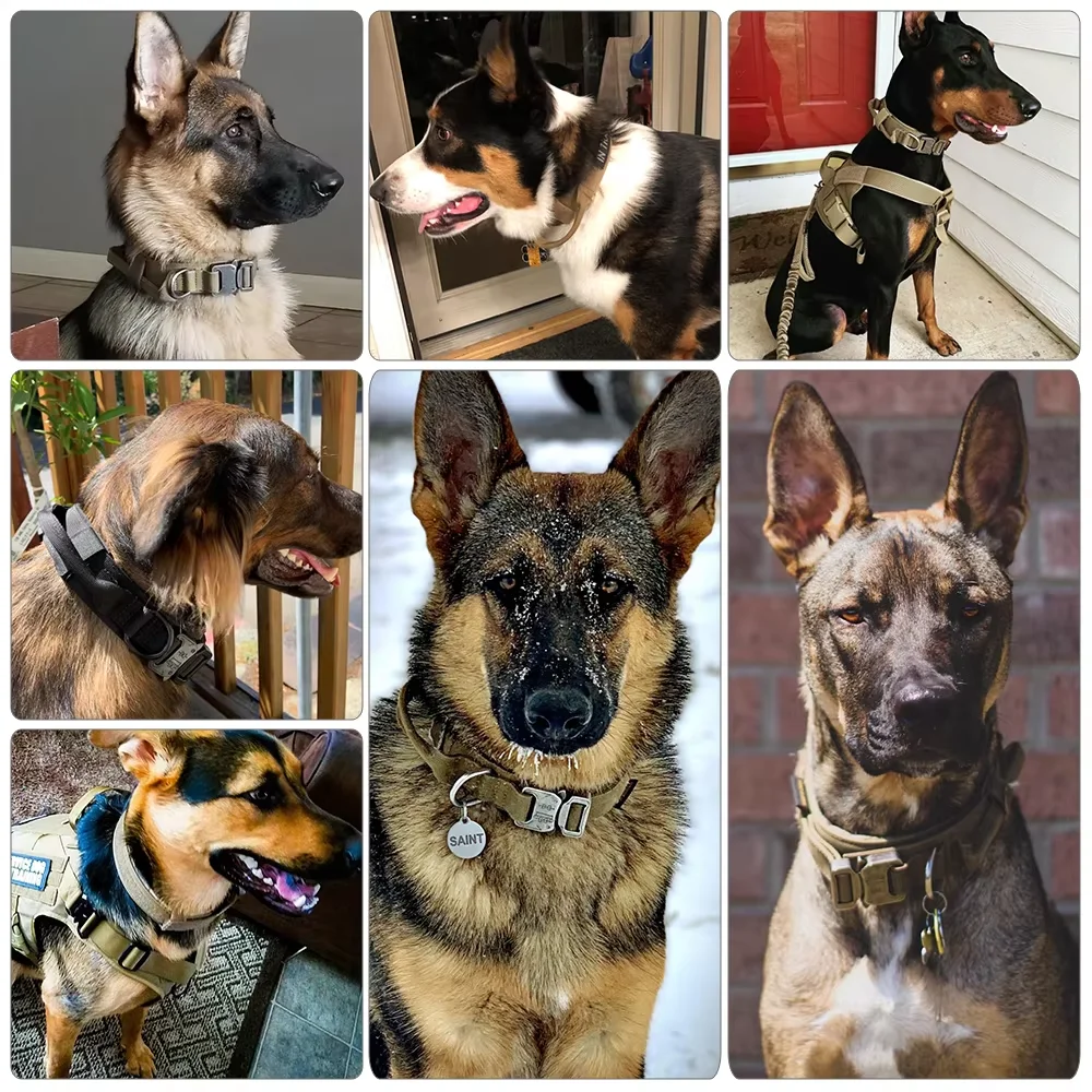 Tactical Dog Collar Leash Set - Image 6
