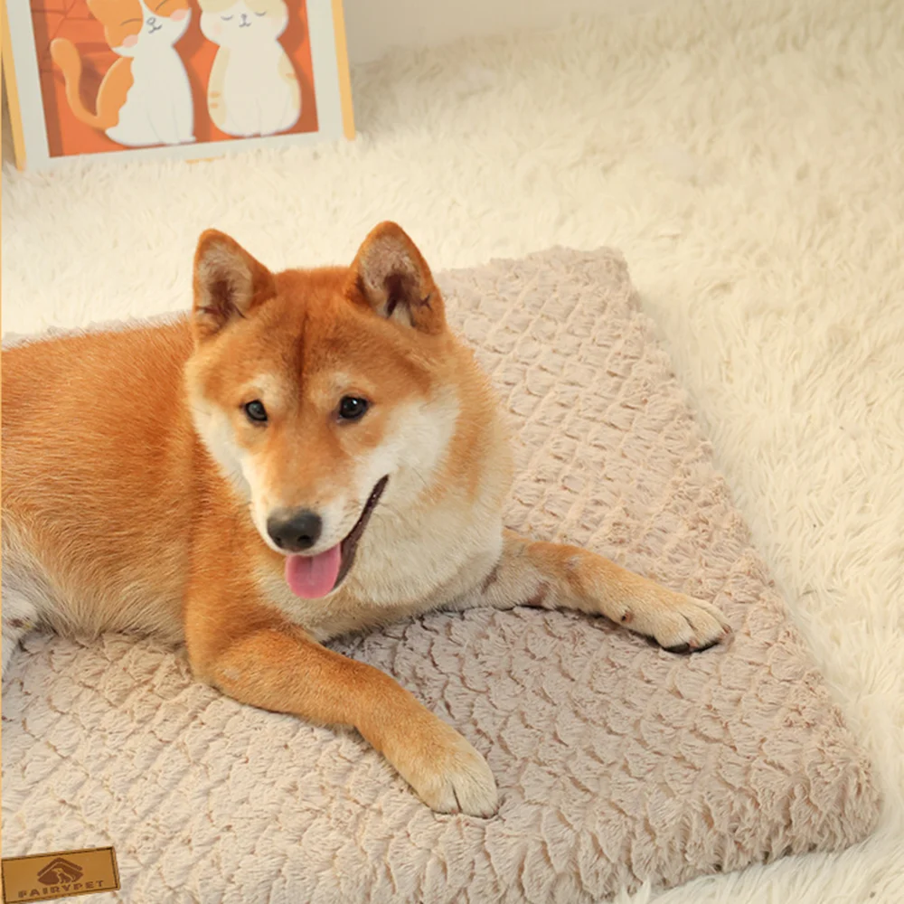 Orthopedic Foam Dog Bed - Image 4
