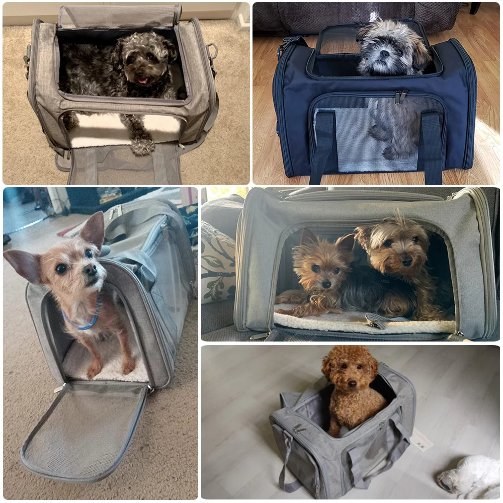 Airline Approved Pet Carrier Backpack - Image 6