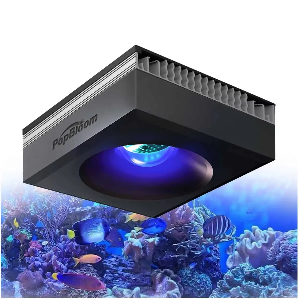 Reef Aquarium LED Light - Image 10