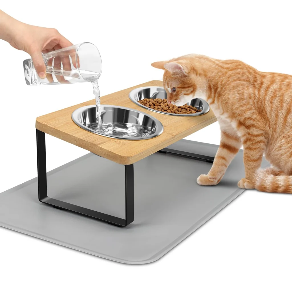 Elevated Cat Bowls With Mat